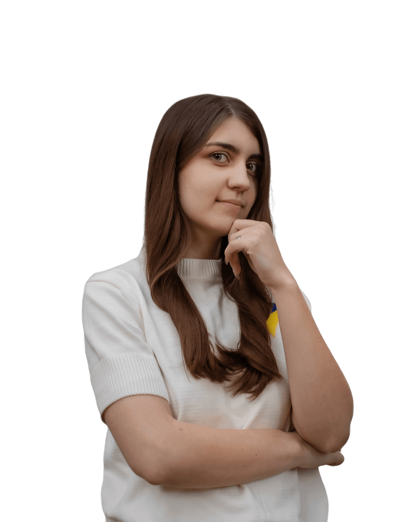 Vlada